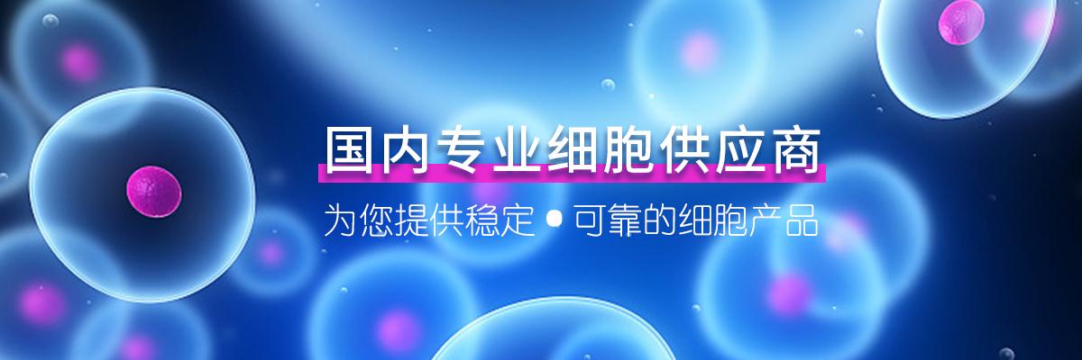 细胞系.jpg 细胞系.jpg