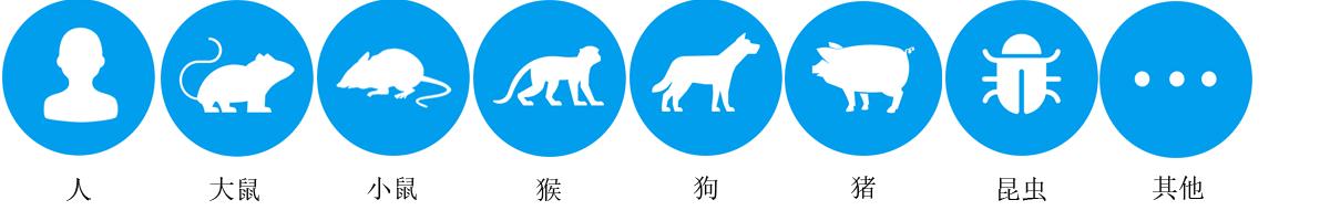 布克1.gif 布克1.gif