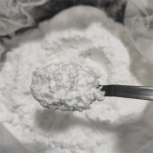 3-[3-(胆酰胺丙基)二甲氨基]丙磺酸内盐