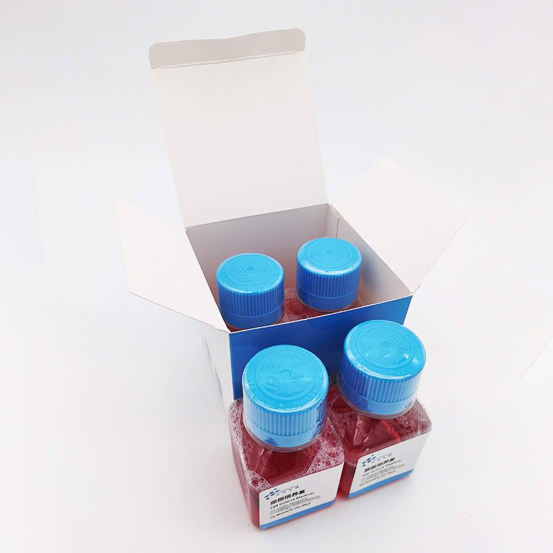 TCCSUP细胞|TCCSUP人膀胱癌细胞