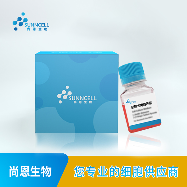 3D4/21细胞|3D4/21猪巨噬细胞