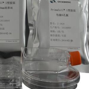 胶原包被96孔培养板