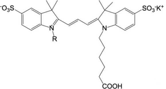 水溶性Cy3
