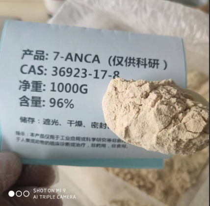 头孢唑肟母核-7-ANCA—36923-17-8