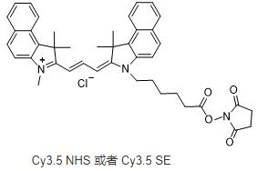 Cyanine3.5 NHS ester,Cy3.5 NHS ester ,cas:2231670-85-0 Cyanine3.5 NHS ester,Cy3.5 NHS ester ,cas:2231670-85-0