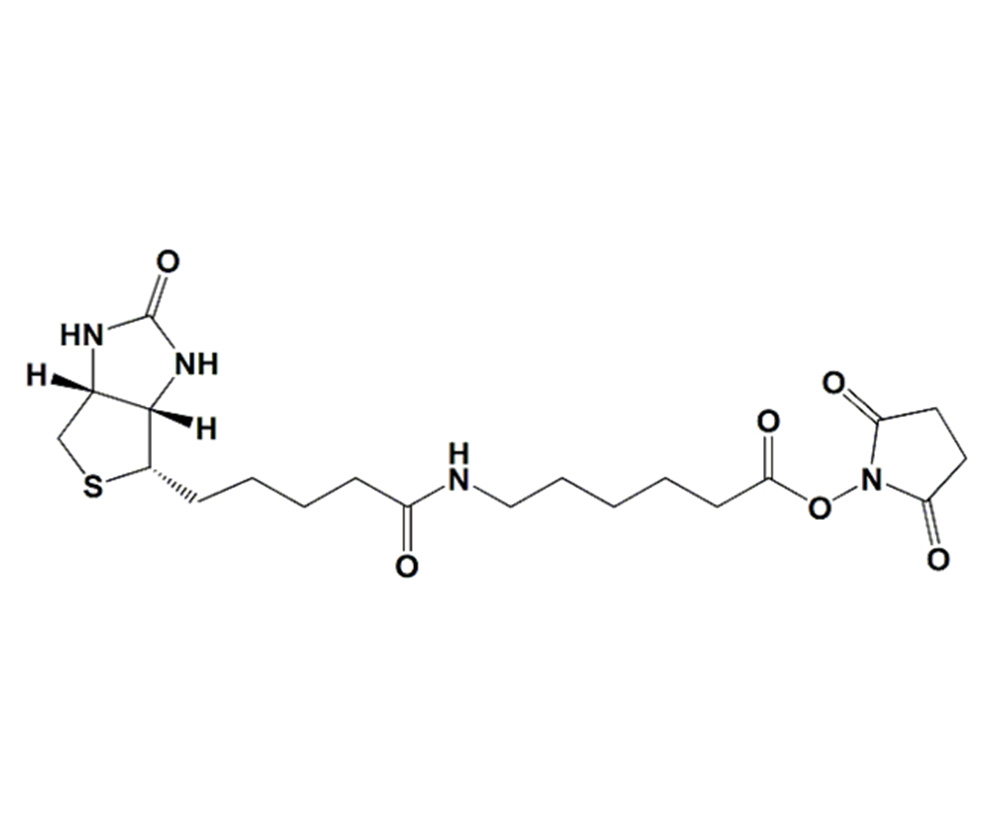 N-琥珀酰亚氨基6-生物素氨己酸