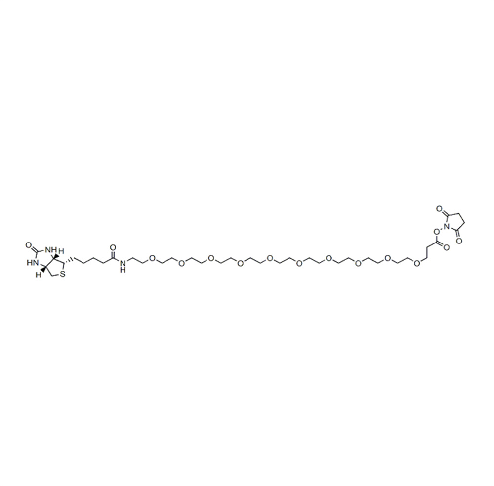 生物素-PEG10-琥珀酰亚胺酯