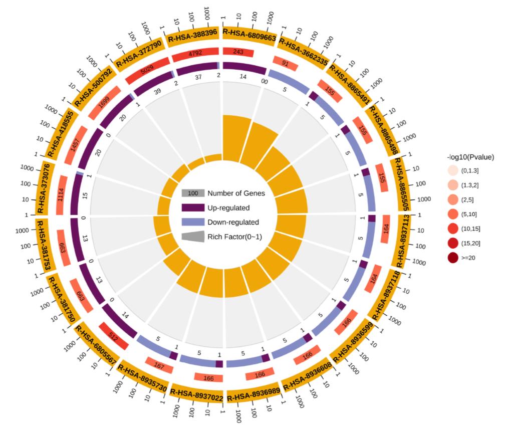 生物信息学分析；生信分析