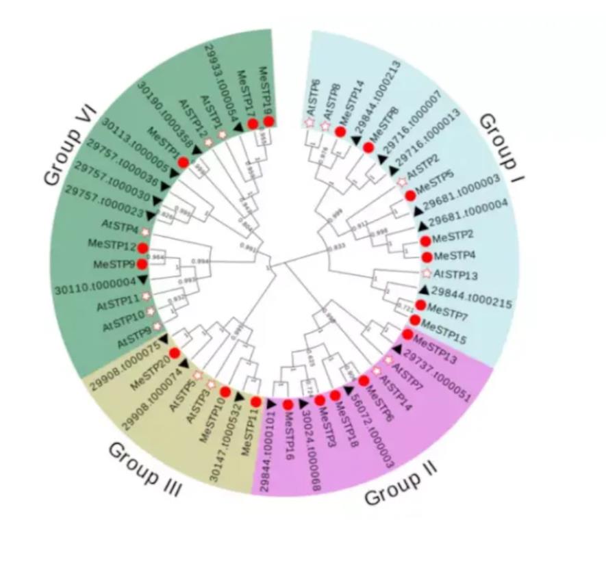 生物信息学分析；生信分析