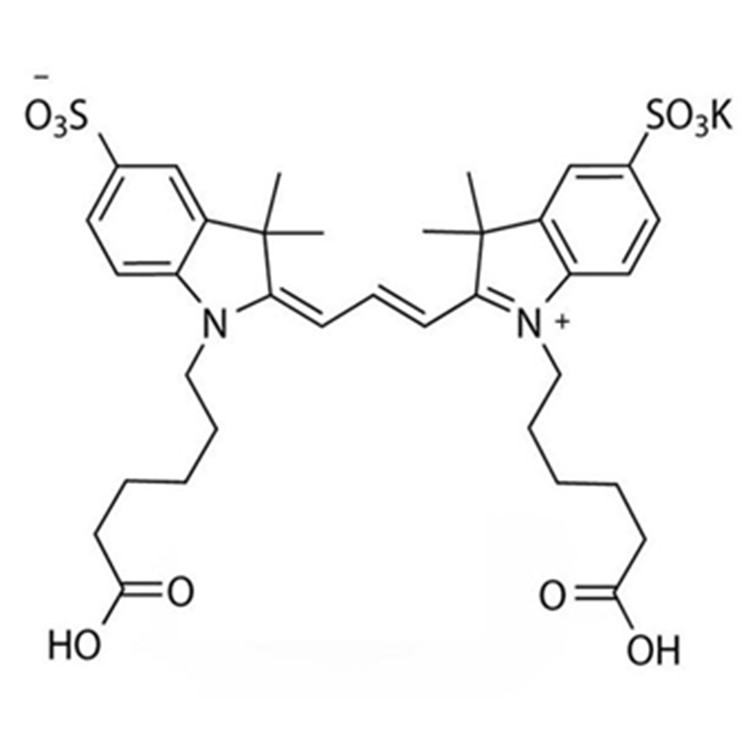 花青素CY3双酸