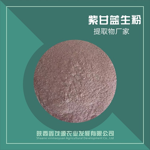 紫甘蓝生粉