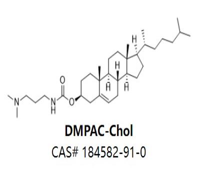 DMPAC-Chol