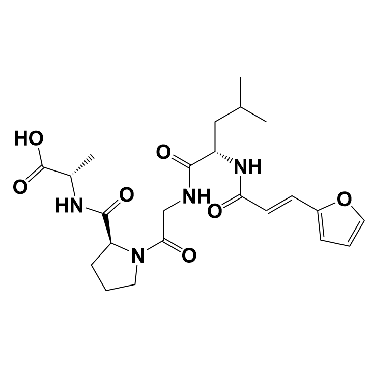 胶原酶Collagenase I