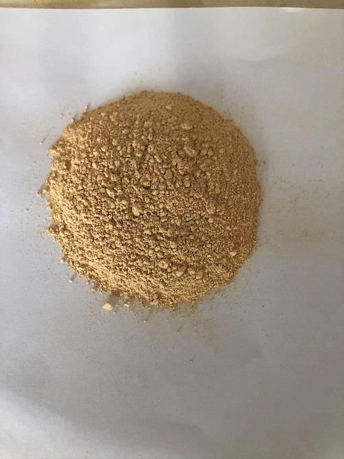 蛹虫草.jpg 蛹虫草.jpg