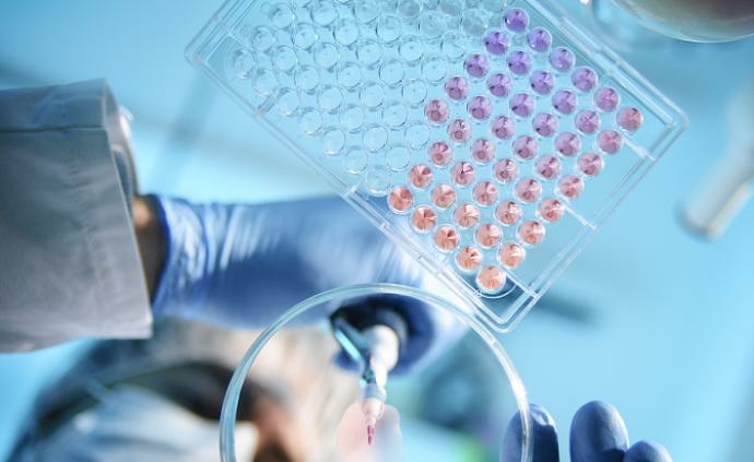 宝丹酮十一烯酸酯