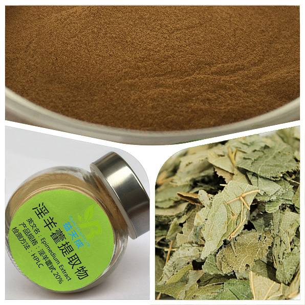 淫羊藿单苷 淫羊藿提取物批发零售