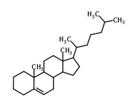 Cholest-5-ene