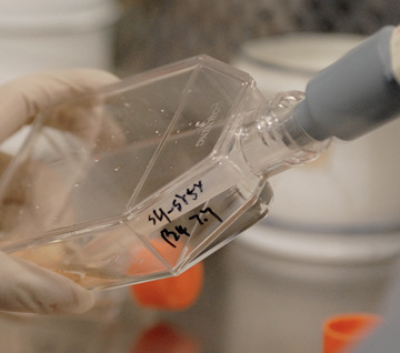 体外代谢抑制剂