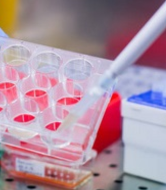 体外代谢探针底物代谢产物