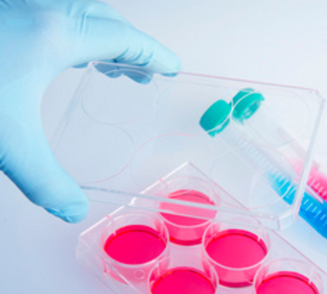 CYP450酶代谢底物、代谢产物