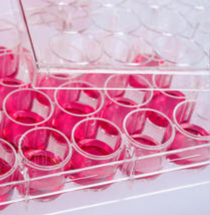 猴PBMC分离试剂盒 猴PBMC分离液