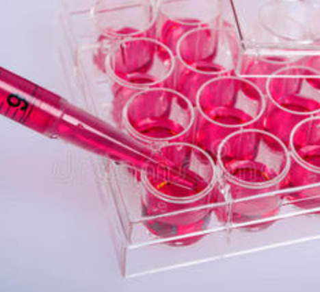 比格犬PBMC分离试剂盒 比格犬PBMC分离液