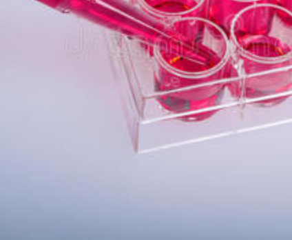 小鼠PBMC分离试剂盒 小鼠PBMC分离液