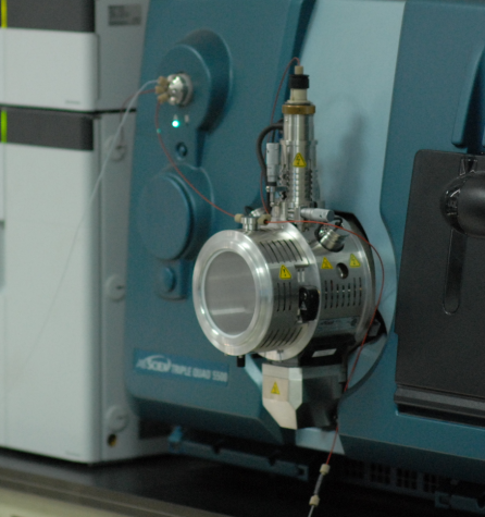 贴壁大鼠肝细胞