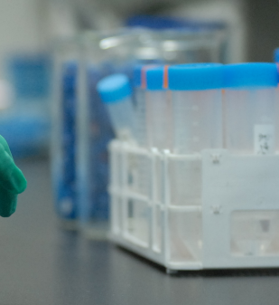 人肾S9 Human Kidney S9