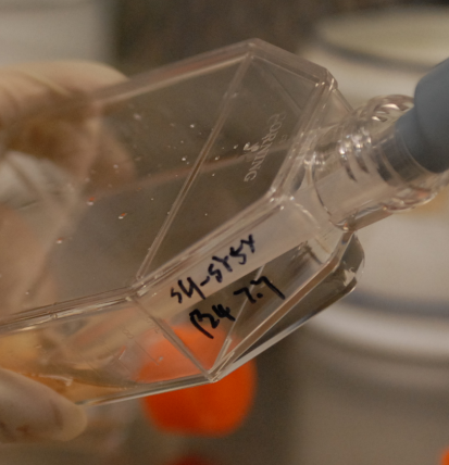 Wistar大鼠肝S9  Rat Liver S9