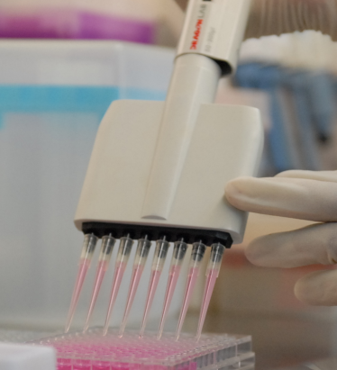 ICR/CD-1小鼠肠微粒体 Mouse Intestinal Microsomes