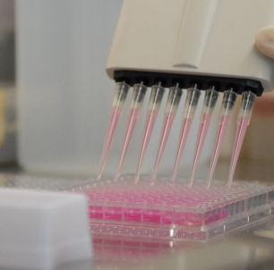 SD大鼠肠微粒体 Rat Intestinal Microsomes