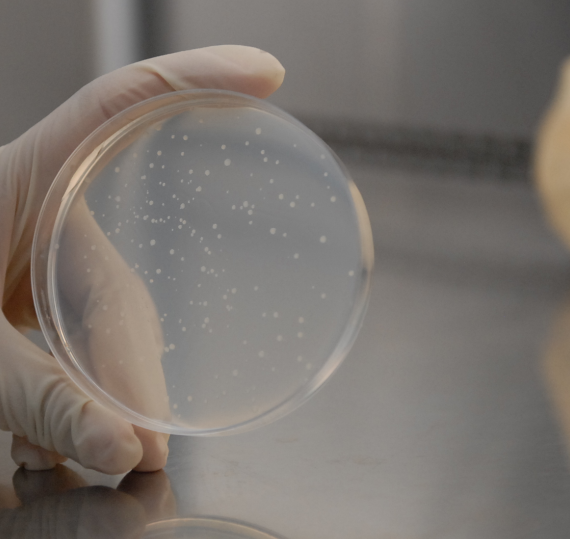 食蟹猴肠微粒体 Monkey Intestinal Microsomes