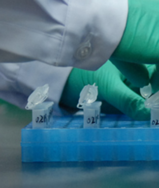 CYP450酶代谢表型研究试剂盒-重组酶法/单酶