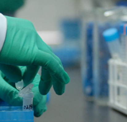 空白食蟹猴胆汁