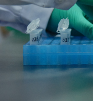 50uM Tris-盐酸缓冲液丨Tris-HCL Buffer