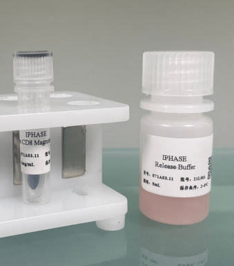 人肾微粒体 Human Kidney Microsomes