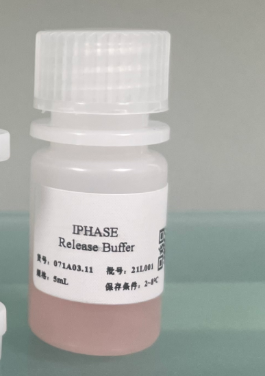 小鼠肾微粒体 Mouse Kidney Microsomes