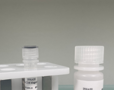 小鼠肺微粒体 Mouse Lung Microsomes