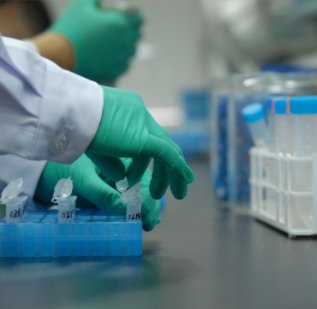 CYP17A1（CYP450重组酶）