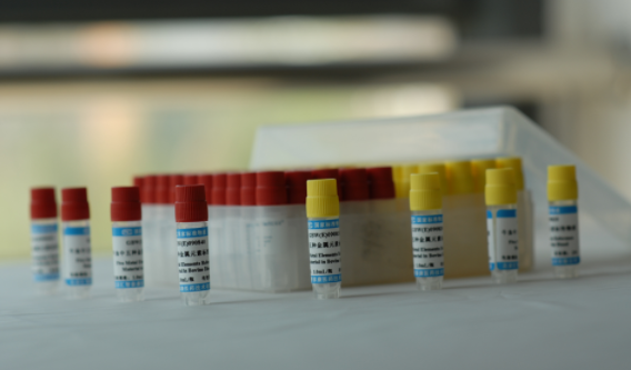 人CD3+T细胞阳性分选试剂盒