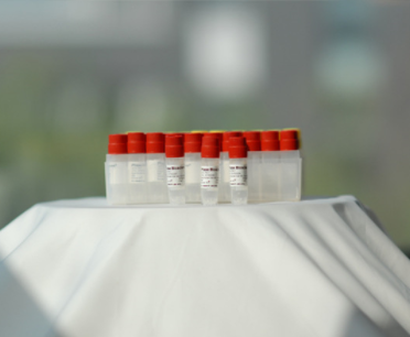 多克隆抗体制备