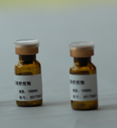 药物早期发现和成药性研究