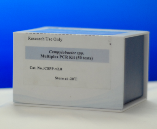 鼠伤寒沙门氏菌TA1538