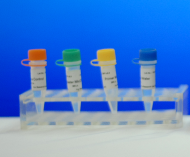 鼠伤寒沙门氏菌TA1537