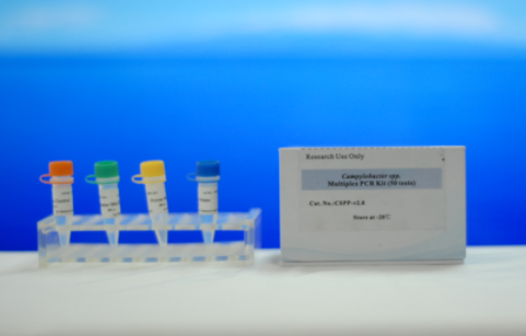 鼠伤寒沙门氏菌TA102