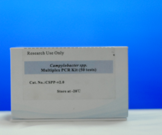 鼠伤寒沙门氏菌TA97a