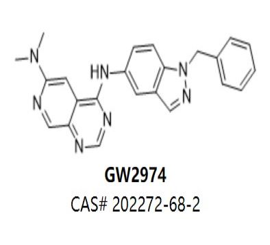 GW2974
