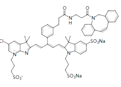 IRDye 800CW Protein Labeling Kits蛋白质标记试剂盒