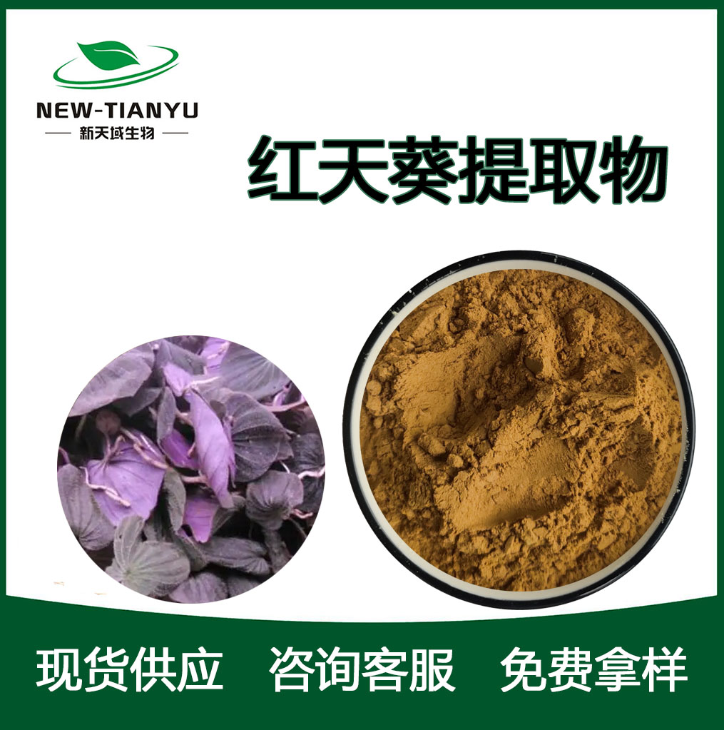 红天葵提取物